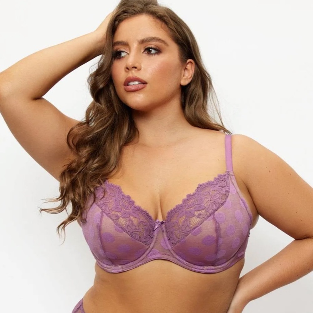 NWT Polka Dot Mesh And Lace Bra 32D